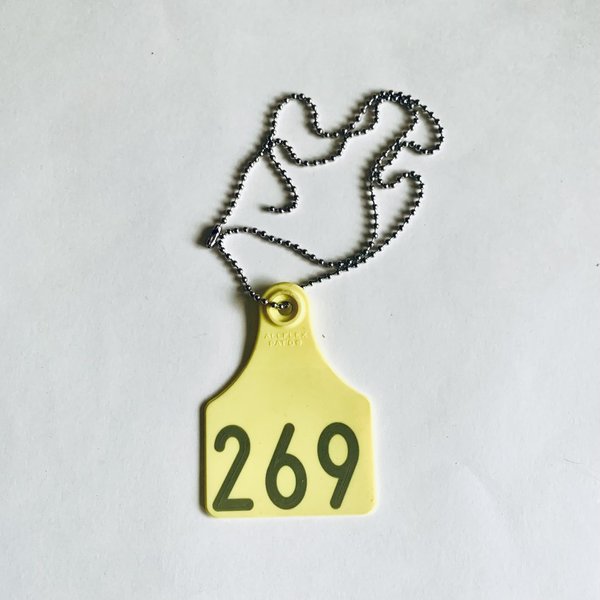 Kugelkette mit original Ohrmarke "269" (groß)