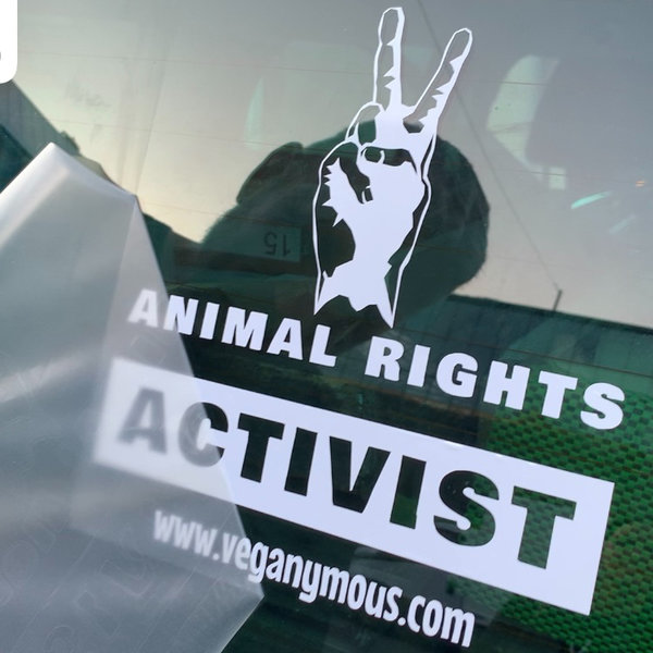 Heckscheiben- Autoaufkleber "Animal Rights Activist"