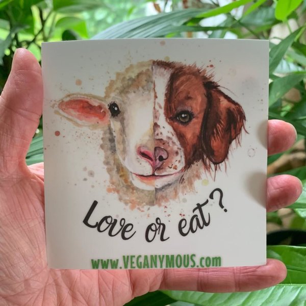 "4er Gegen Speziesismus Sticker Set" - vegan