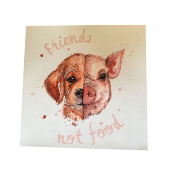 Heckscheiben- Autoaufkleber "Friends not Food"